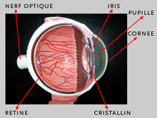 EASYVISION - Clinique de la vision